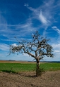 1 Eifel-Mosel-09---2018DSC_2664-1-Kopie